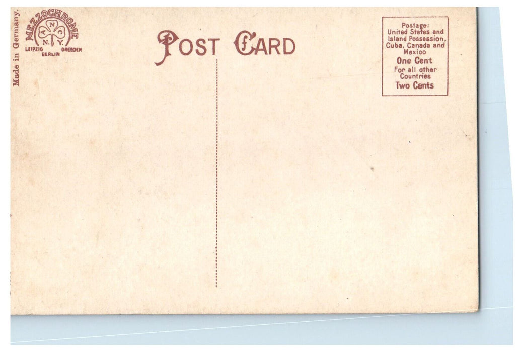 c1910 Trolley Car, Business Section, Falls St. Niagara Falls NY Postcard