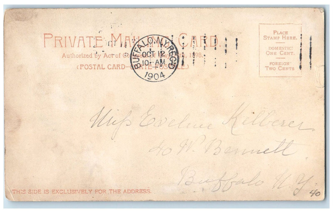1904 Mt. Clemens The Colonial Hotel Roadside Michigan MI Posted Vintage Postcard