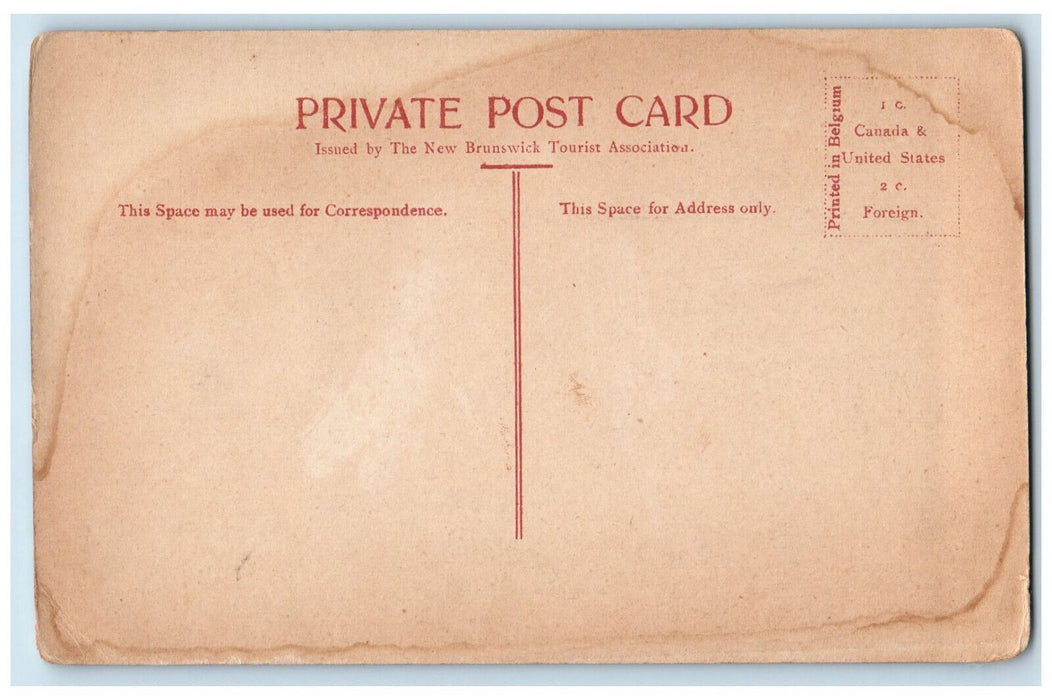 c1910 The Pitch Grand Falls New Hampshire NH Antique Unposted Postcard