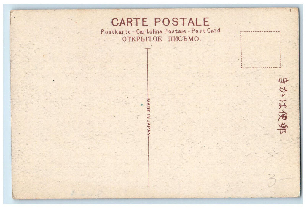 c1940's Scene at Iris Garden Horikiri Tokyo Japan Antique Unposted Postcard