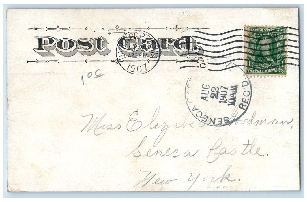 1907 Rustic Bridge Central Park Pond Blossom Trees Davenport Iowa IA Postcard