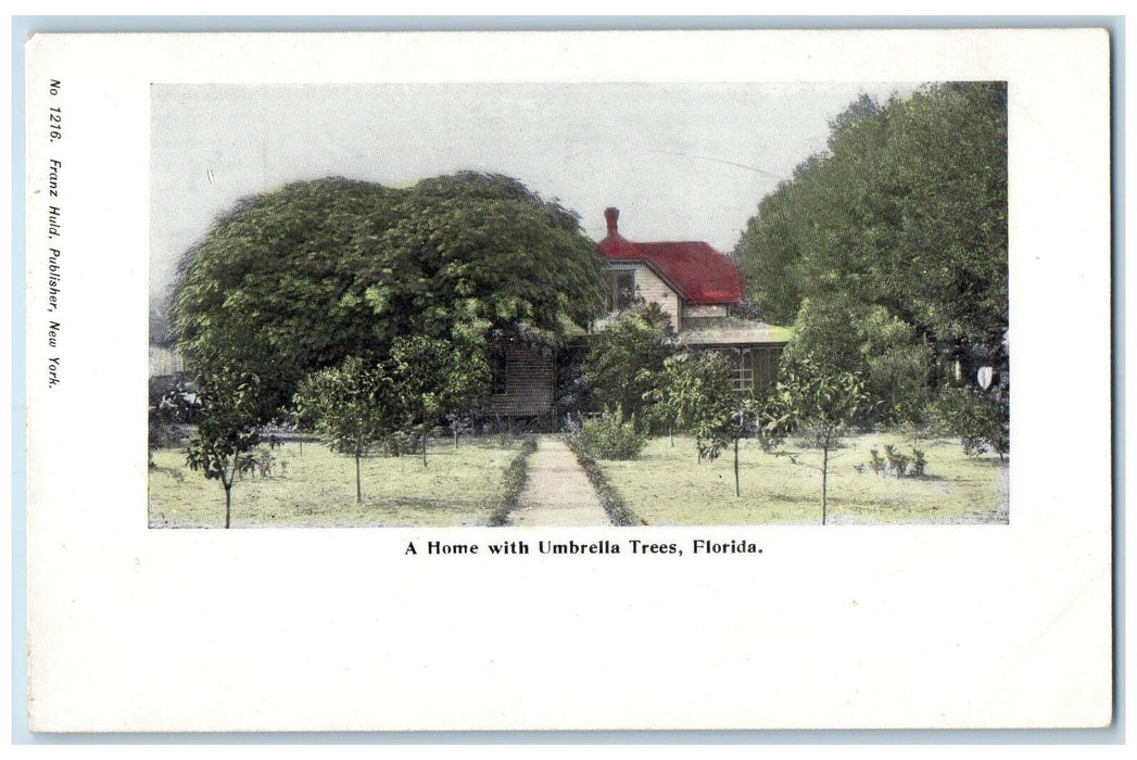 c1905 A Home With Umbrella Trees House View Pathway Orlando Florida FL Postcard