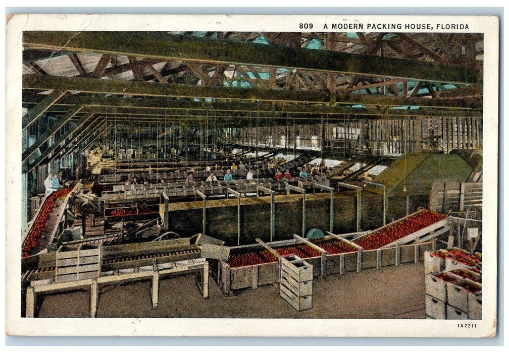 1935 Modern Packing House Fruits Orange Conveyor Machine Florida FL Postcard