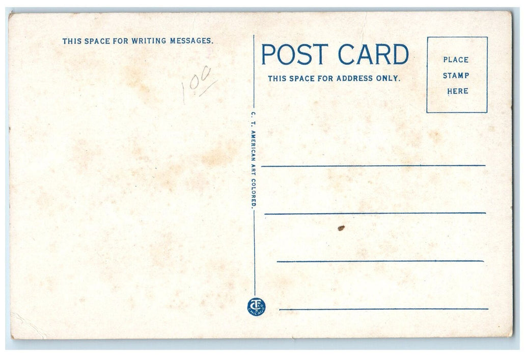 c1920 County Court House Building Railway Flags Council Bluffs Iowa IA Postcard