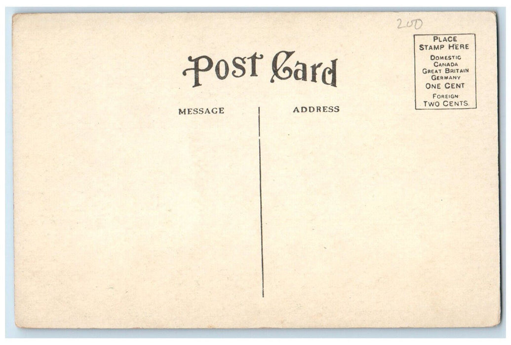c1910 College Campus Grinnell Iowa IA US Flag Unposted Antique Postcard