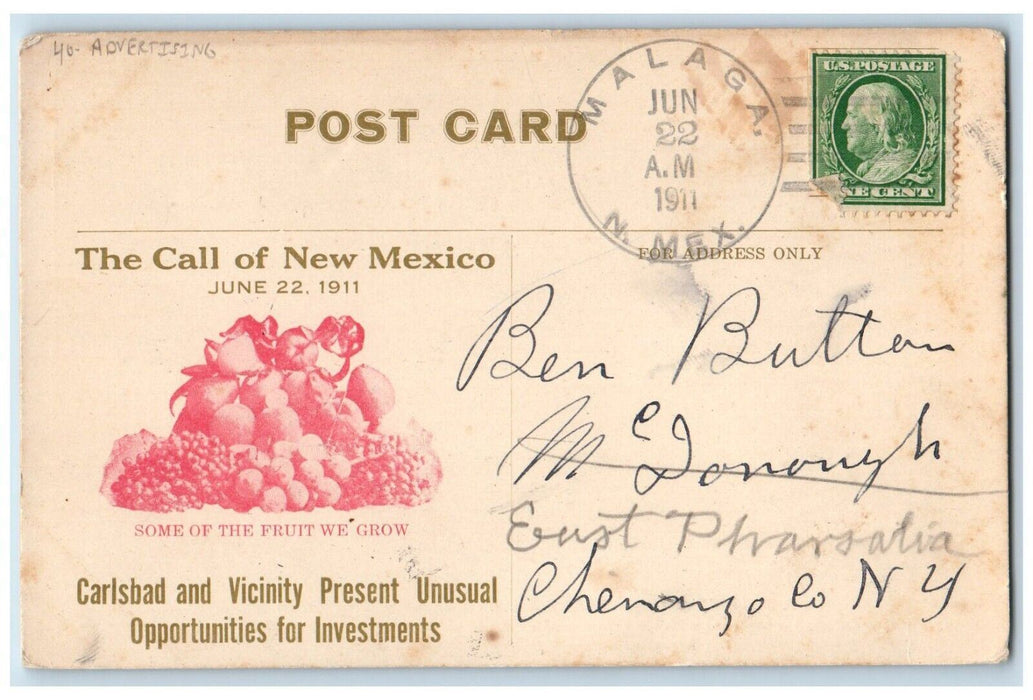 1911 One Of Carlsbad's Shady Residence Streets Advertising Malaga NM Postcard