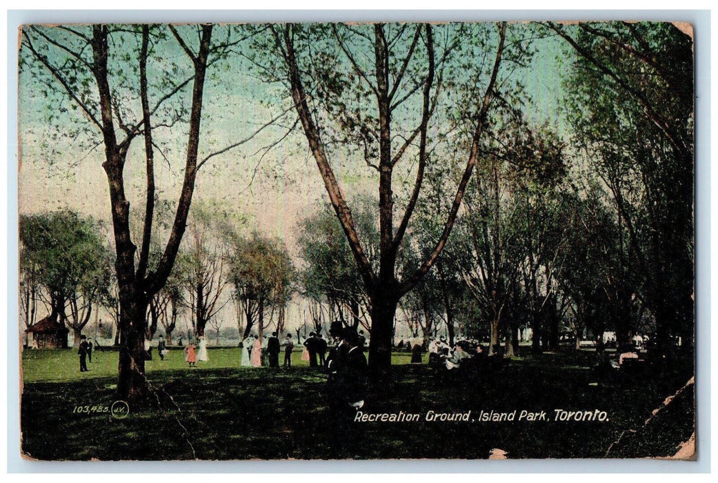 1909 Recreation Ground Island Park Toronto Ontario Canada Antique Postcard