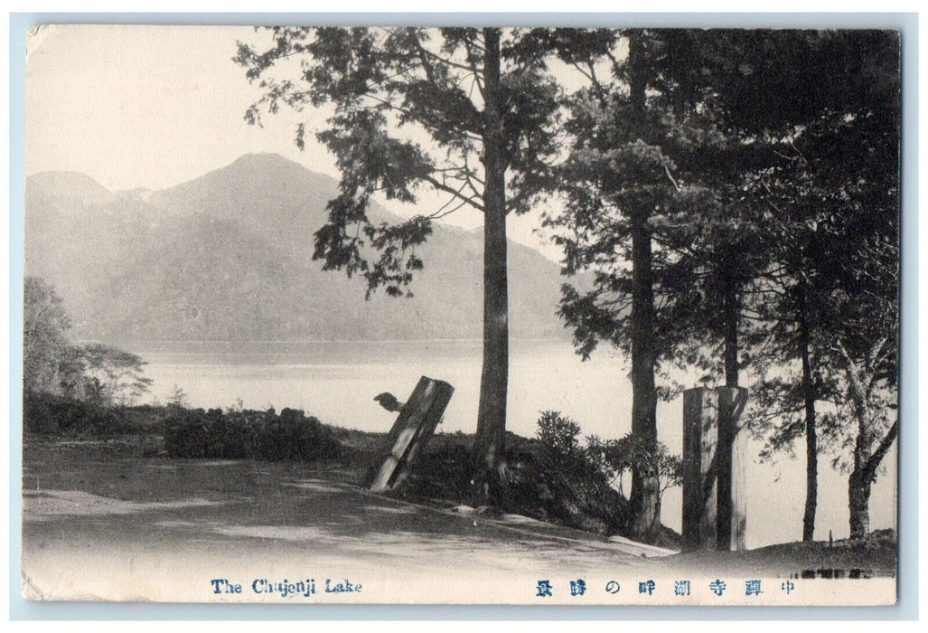 c1940's The Chujenji Lake In Nikkō National Park Japan Vintage Postcard