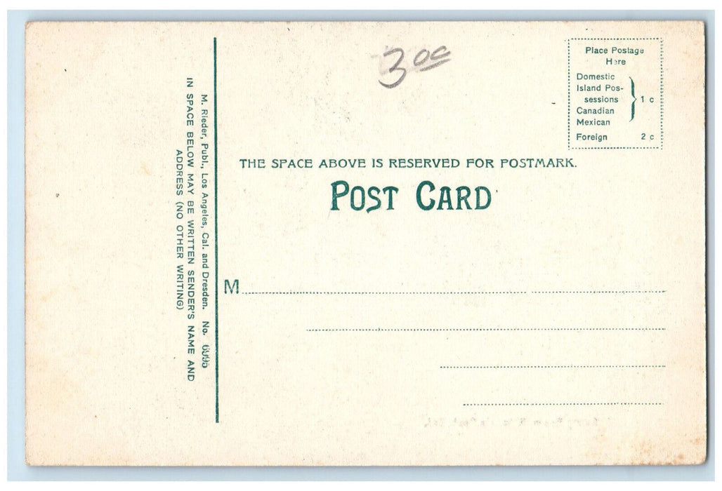 Dining Room Restaurant Interior Wilson's Peak California CA Antique Postcard