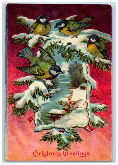 1909 Christmas Greetings Song Birds Winter Berries Franklin Grove IL Postcard