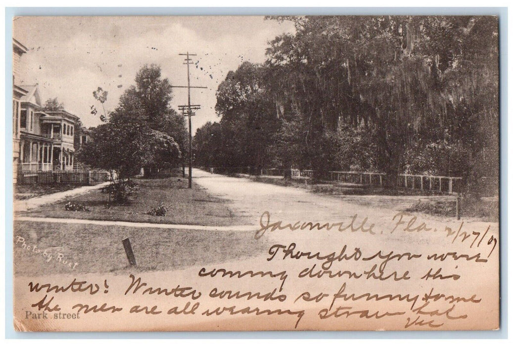 c1907 Scenic View Park Street Jacksonville Florida FL East Orange NJ Postcard