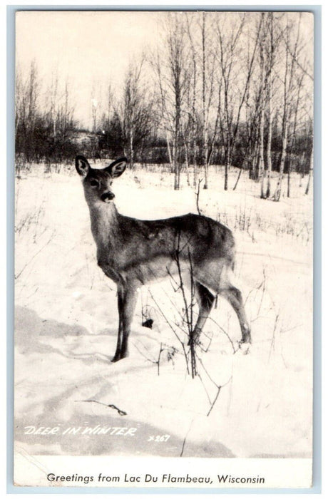 1950 Greetings From Lac Du Flambeau WI, Deer In Winter RPPC Photo Postcard