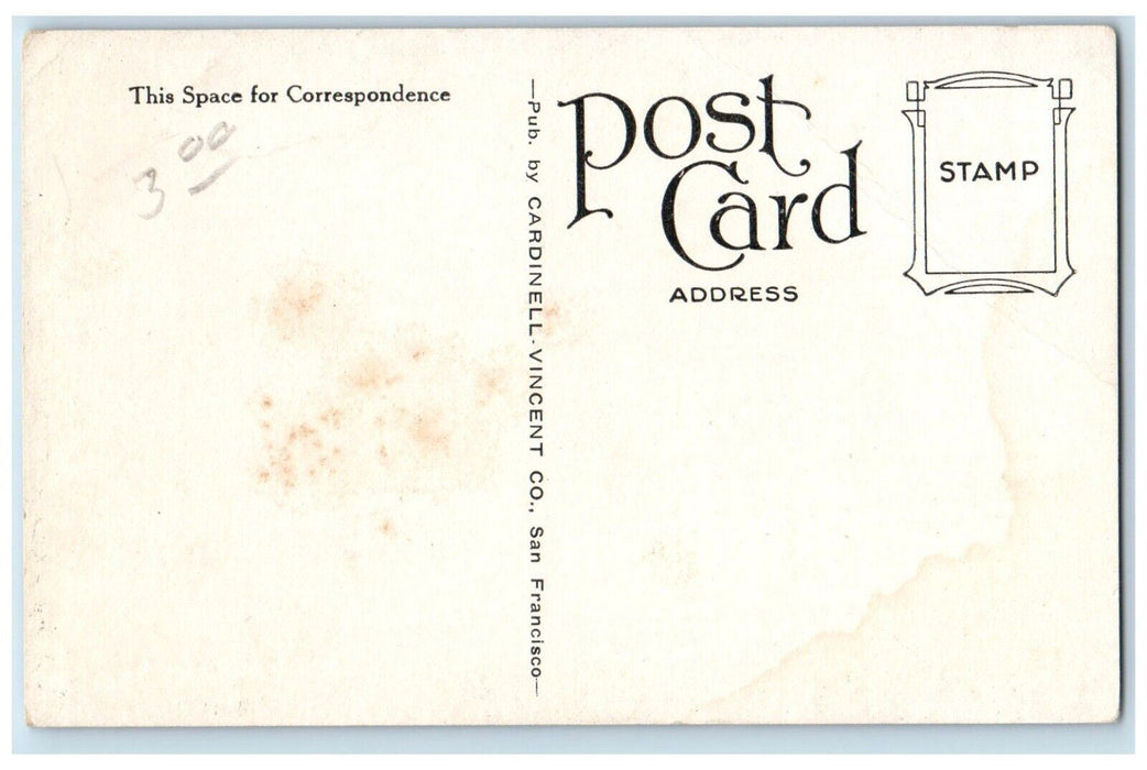 c940 Pacific Mail Steamship Company Sister Ships Ecuador Sunshine Belt Postcard