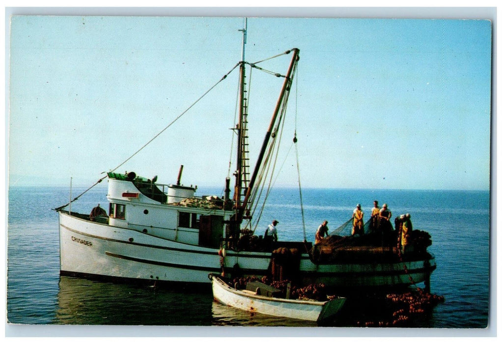 c1950 Puget Sound Salmon Fishing Boat Net Fisherman Sea Washington WA Postcard