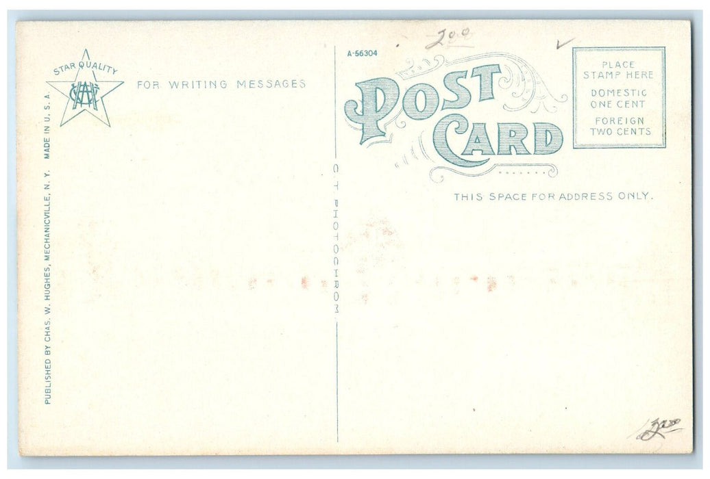 Washburn Hall Union College Exterior Scene Schenectady NY Antique Postcard