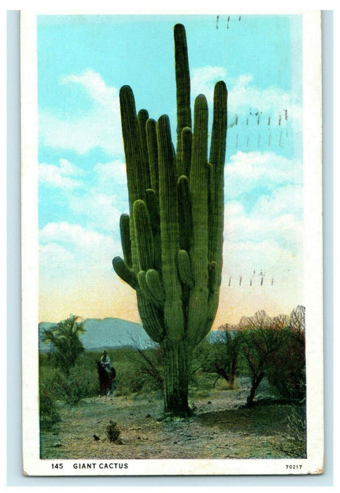 Giant Cactus Cowboy Horseback 1935 Phoenix Arizona  Antique Postcard