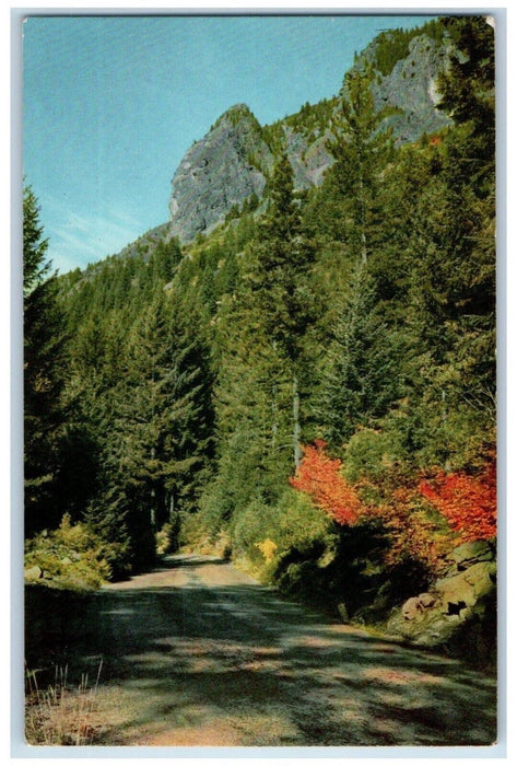 c1960's Union Oil McKenzie Pass Cascade Mountains Oregon OR Antique Postcard