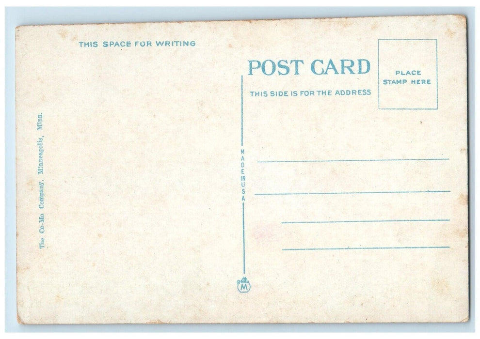 c1910's William Worrell Mayo Statue City Park Rochester Minnesota MN Postcard