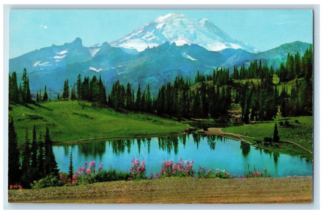 c1960's Mount Rainier & Tipsoo Lake near Chinook Pass Washington WA Postcard