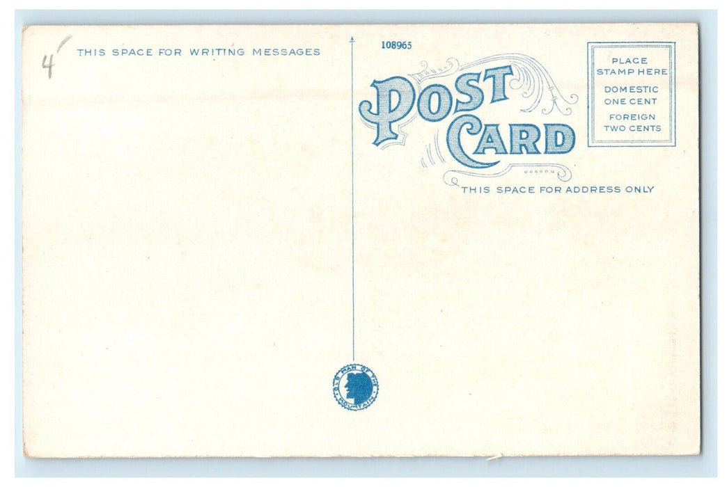 c1920s Mountain View House Whitefield White Mts. New Hampshire NH Postcard
