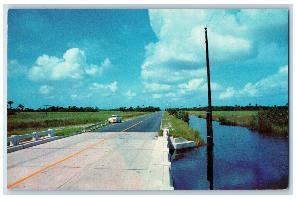 c1960's Along the Tamiami Trail Old Cars Florida FL Antique Unposted Postcard