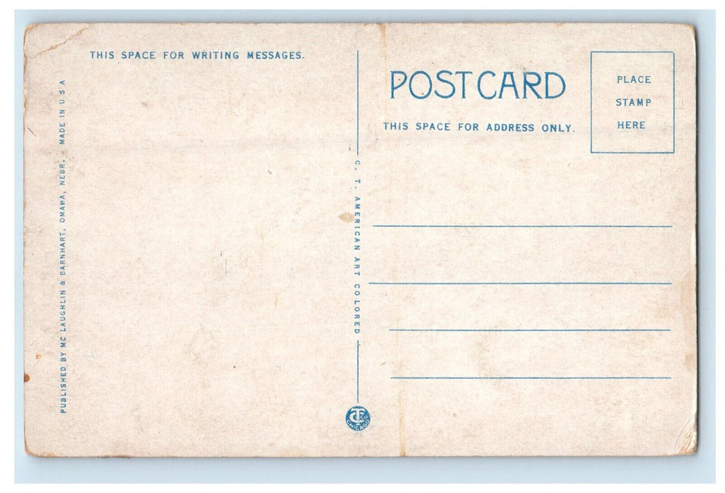 c1920s New Livestock (Buckingham Memorial) South Omaha Nebraska NE Postcard