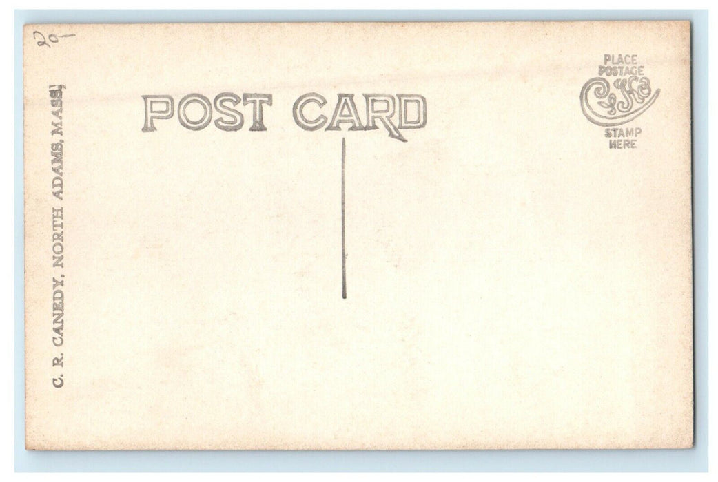 c1910's The Greylock Range From Top Of Mohawk Trail MA RPPC Photo Postcard