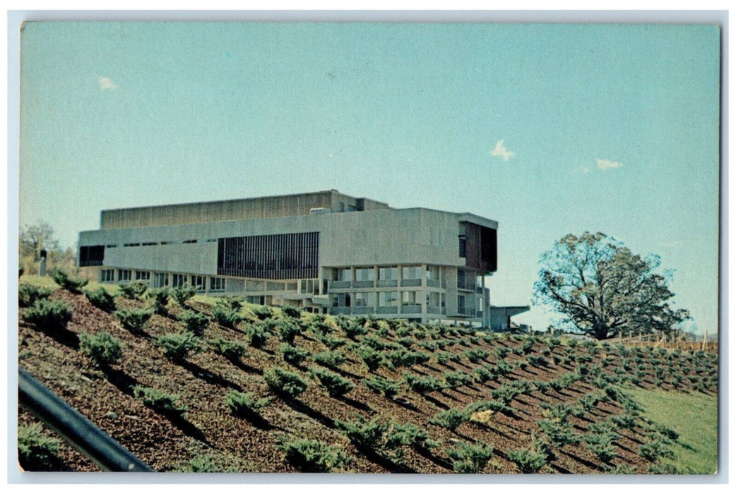 c1950's Planted Trees, School of Music, Ithaca College New York NY Postcard