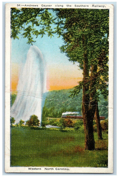 c1930's Andrews Geyser Along Southern Railway Western North Carolina NC Postcard