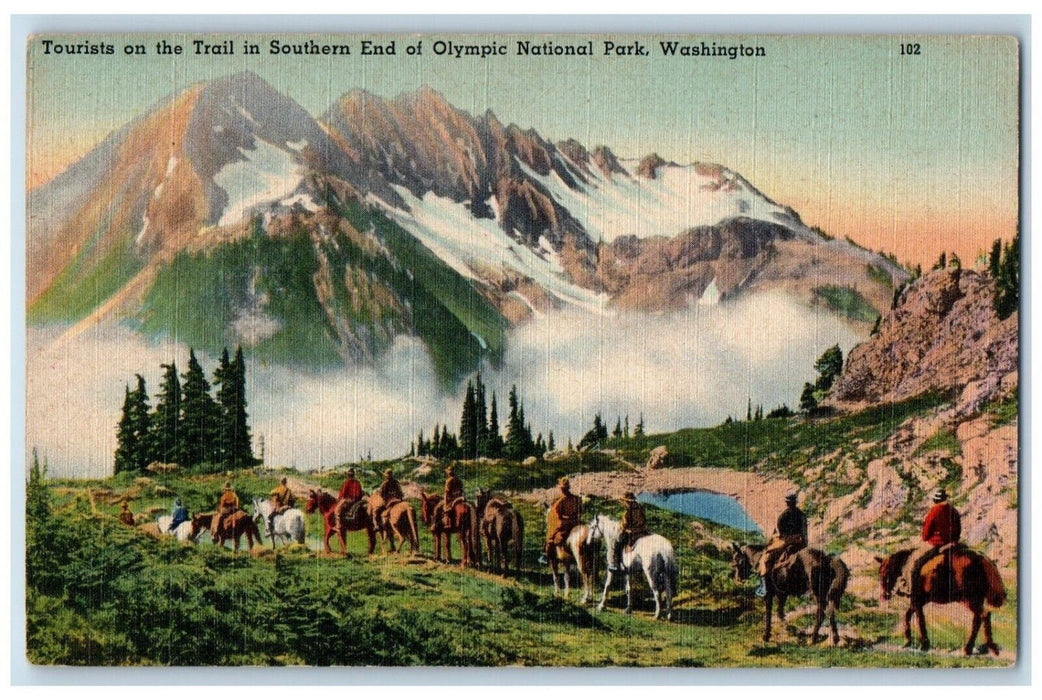 c1930's Tourist On The Trail In Southern End Olympic National Park WA Postcard