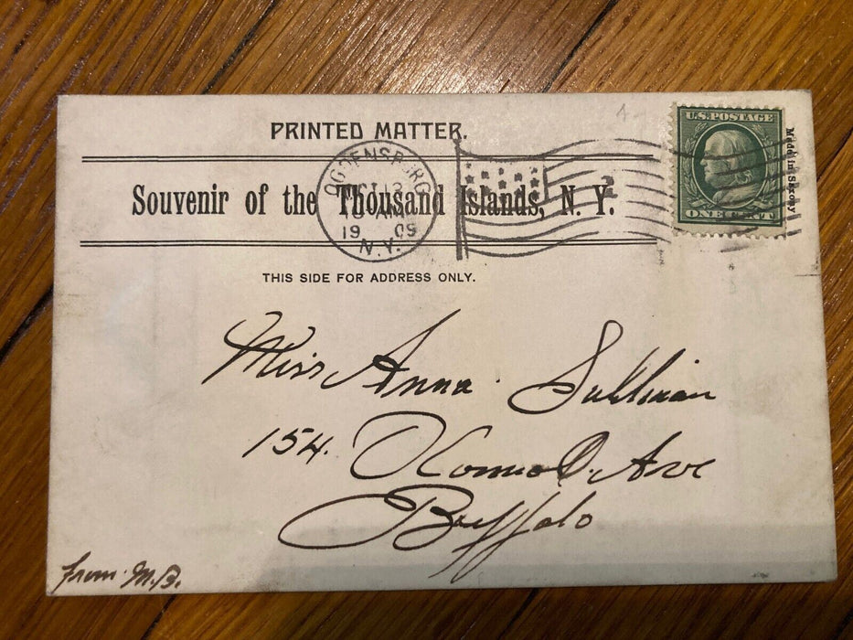1909 Pull Out Cherry Island Thousand Island New York NY Fold Posted Postcard