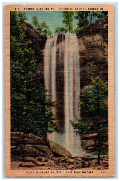 Tobacco Falls 186 FT. High Two Miles From Toccoa Georgia GA Waterfalls Postcard