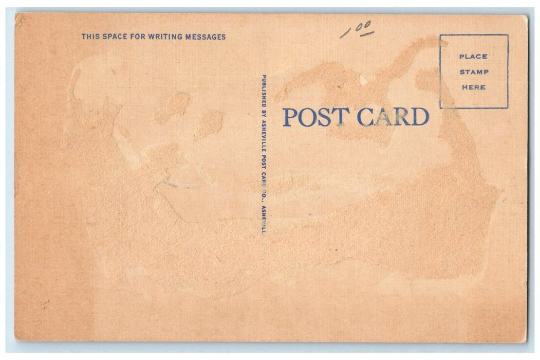 Tobacco Falls 186 FT. High Two Miles From Toccoa Georgia GA Waterfalls Postcard