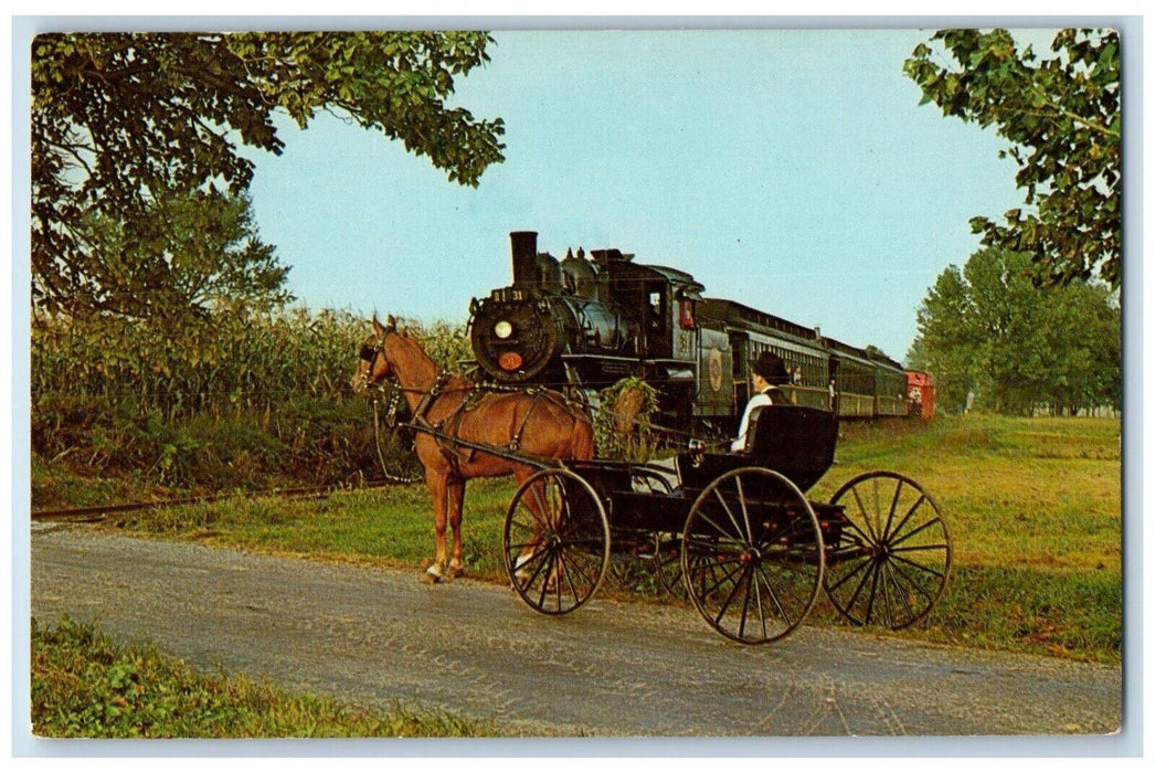 c1960's Strasburg Railroad Route 741 Horse Strasburg Pennsylvania PA Postcard