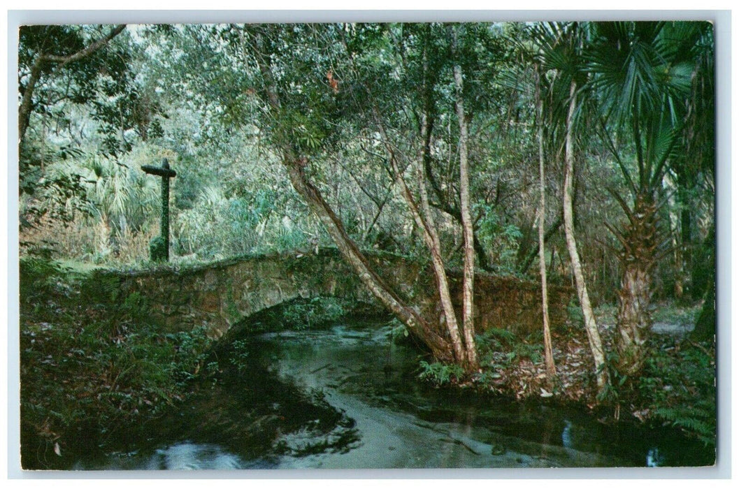 c1960s Juniper Springs Recreation Area Ocala National Forest Florida FL Postcard
