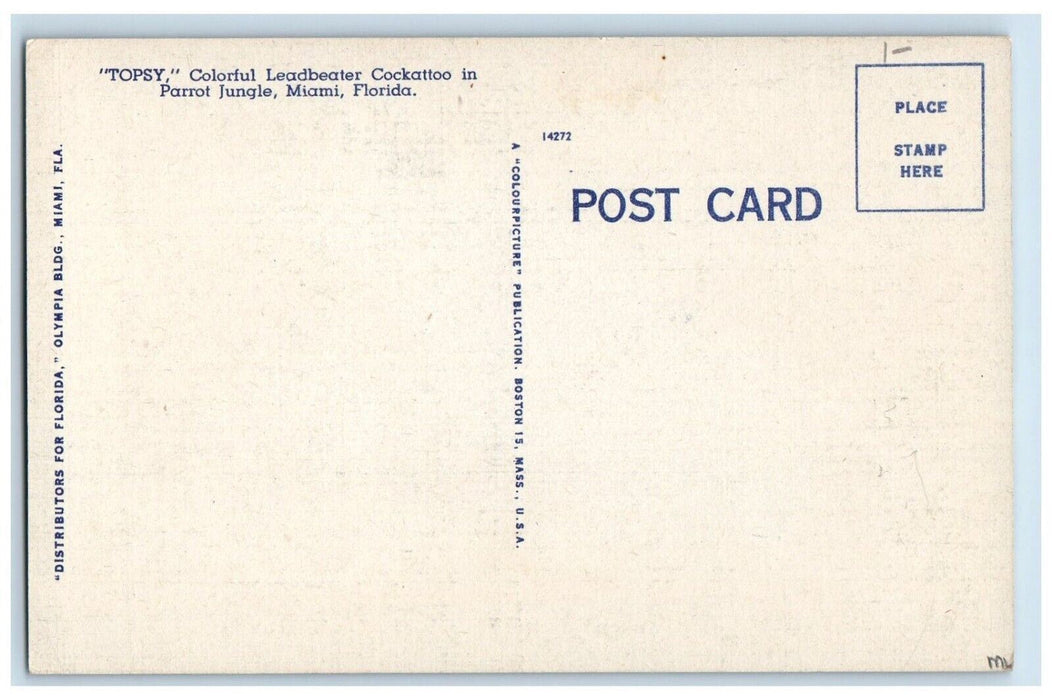 c1940's Topsy Leadbeater Cockatoo Parrot Jungle Miami, Florida FL Postcard