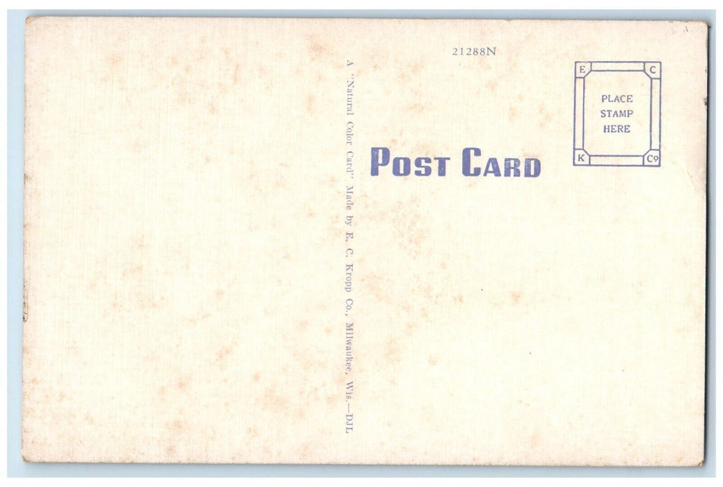 Pella Iowa IA, Spotless Streets For The Queen To Ride Upon Dutch Broom Postcard