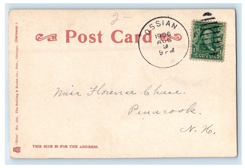 1906 A View Of Melan Arch Bridge Buildings Waterloo Iowa IA Antique Postcard
