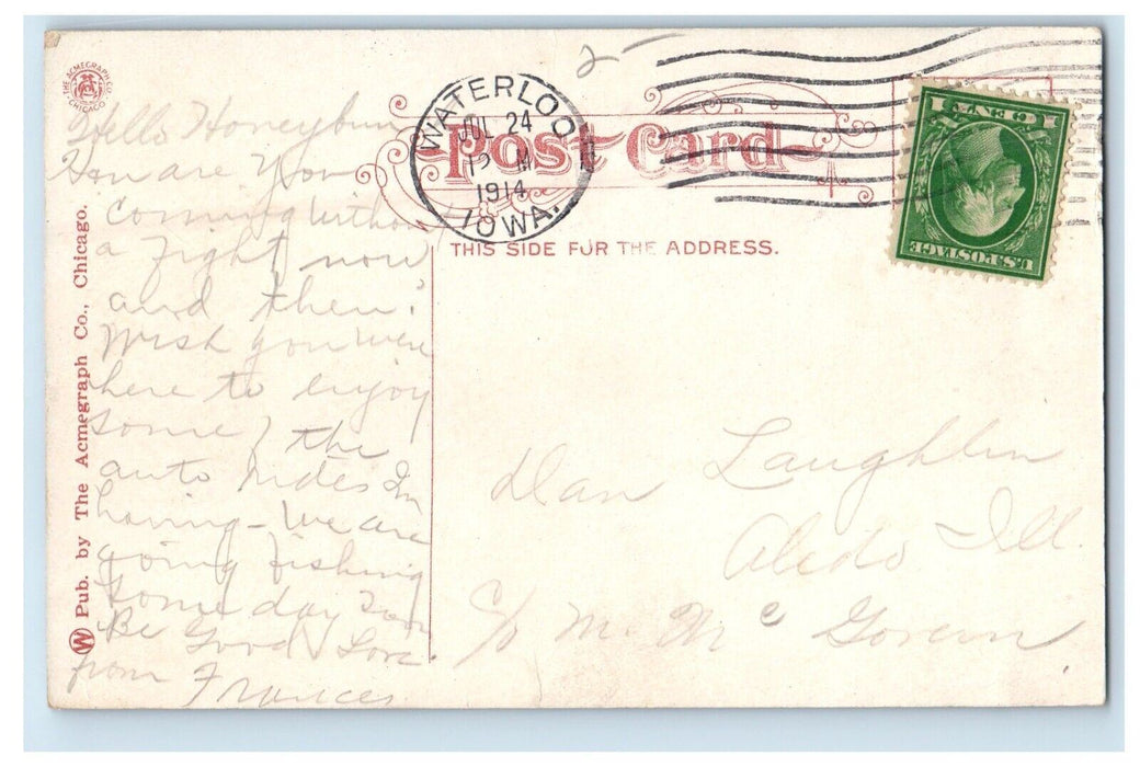 1914 View OfTwin Bridge At Electric Park Waterloo Iowa IA Antique Postcard