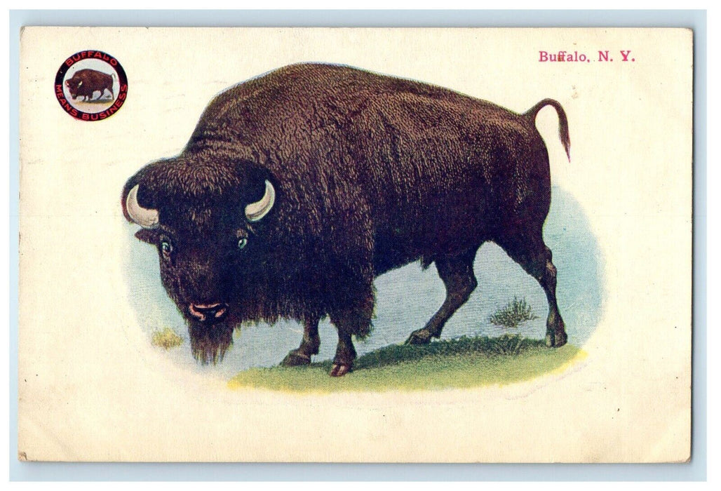 1911 Buffalo New York NY Animal Means Business Posted Antique Postcard