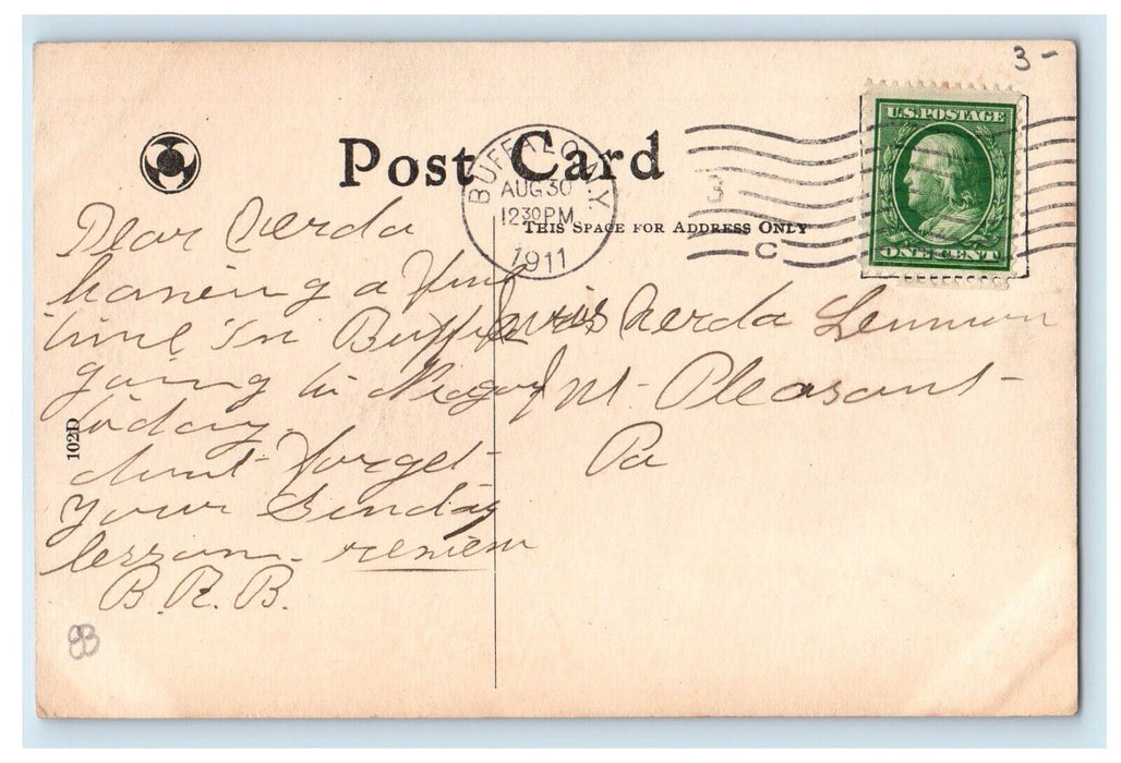 1911 Buffalo New York NY Animal Means Business Posted Antique Postcard