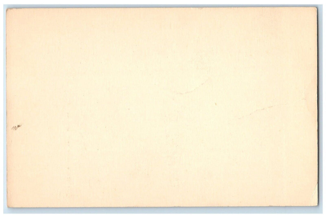 c1905 Grecourt Gates Smith College Gate Northampton Massachusetts MA Postcard