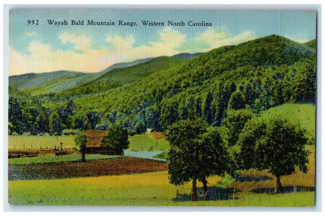 c1930's Wayah Bald Mountain Range Hut Scene Western North Carolina NC Postcard