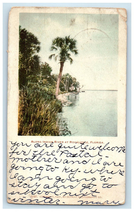 1907 Along Indian River at Rockledge Florida FL Posted Ormond FL Postcard