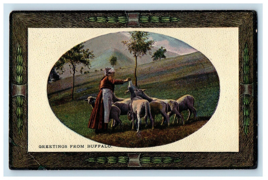 1912 Greetings From Buffalo New York NY, Old Woman And Sheep At Farm Postcard