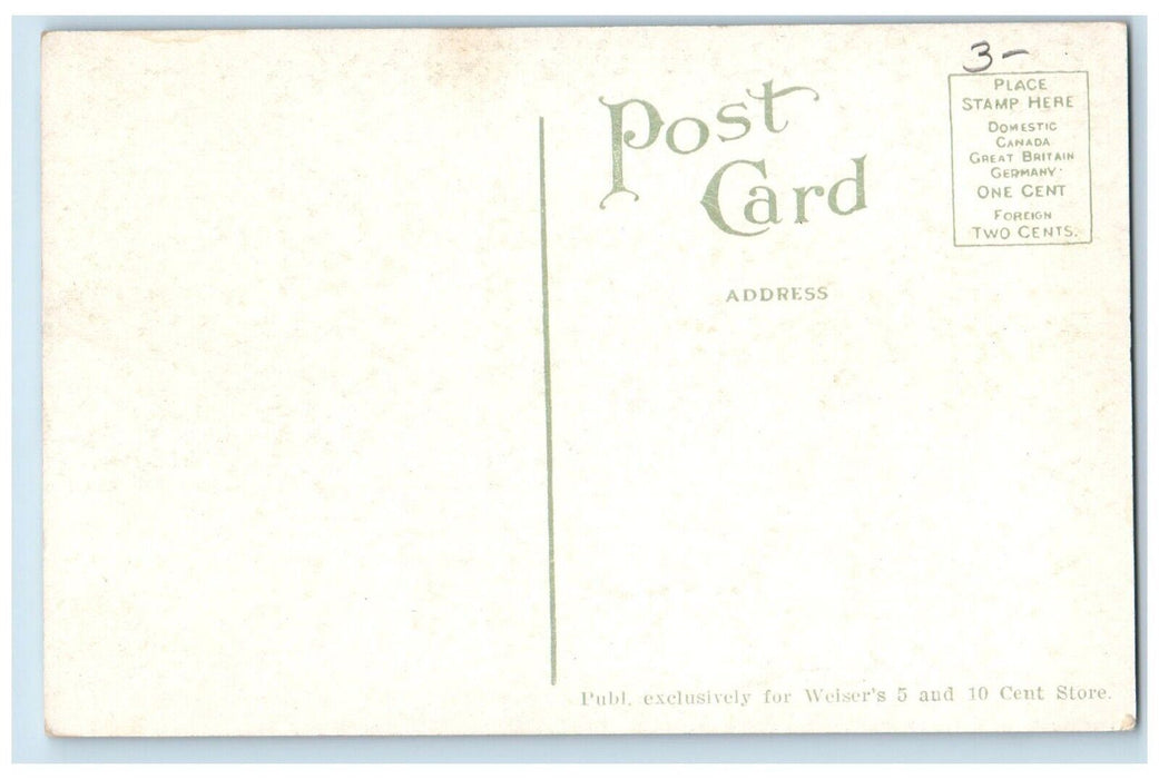 c1910's High School Building Road Trees Niles Michigan MI Vintage Postcard