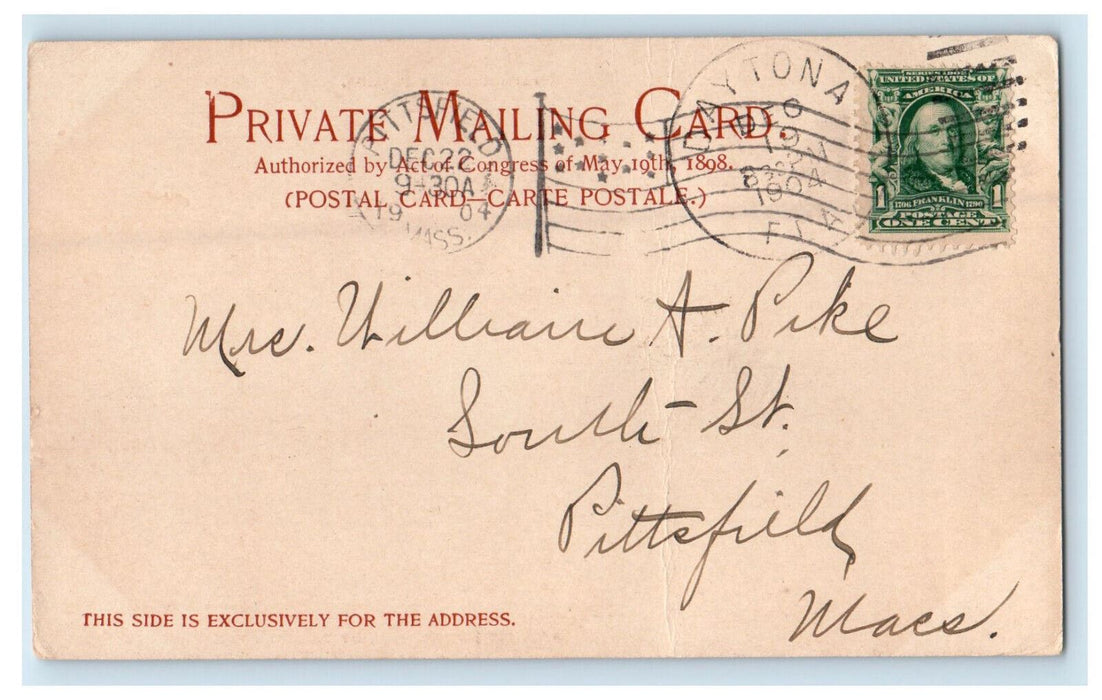 1904 Palmettoes of Florida FL Daytona FL Detroit Photographic Co. PMC Postcard