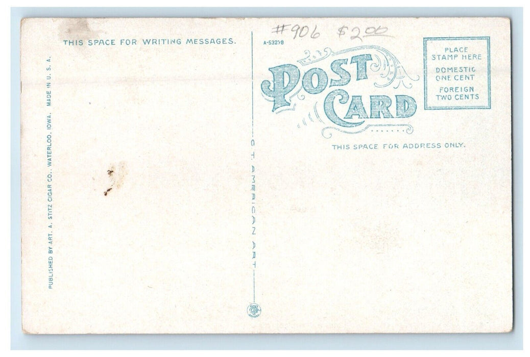 c1920's The Bathing Beach La Fayette Park Waterloo Iowa IA Unposted Postcard