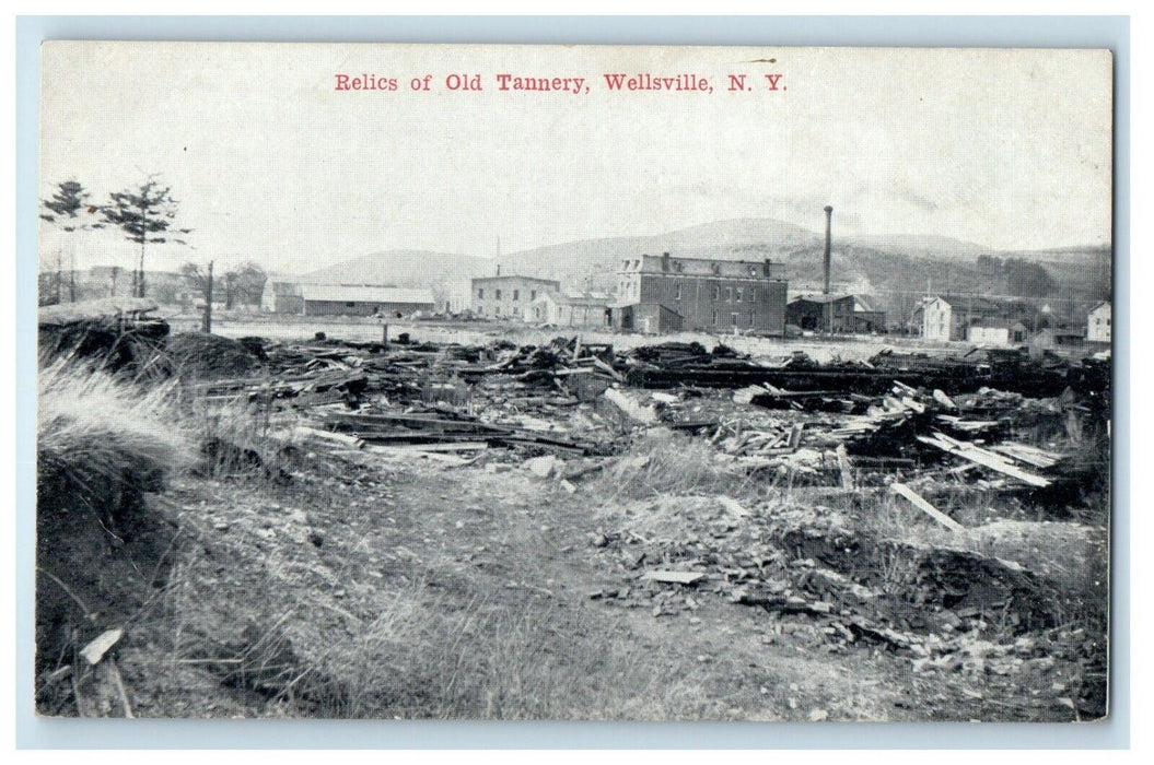 c1910's Relics Of Old Tunney Wellsville New York NY Unposted Antique Postcard