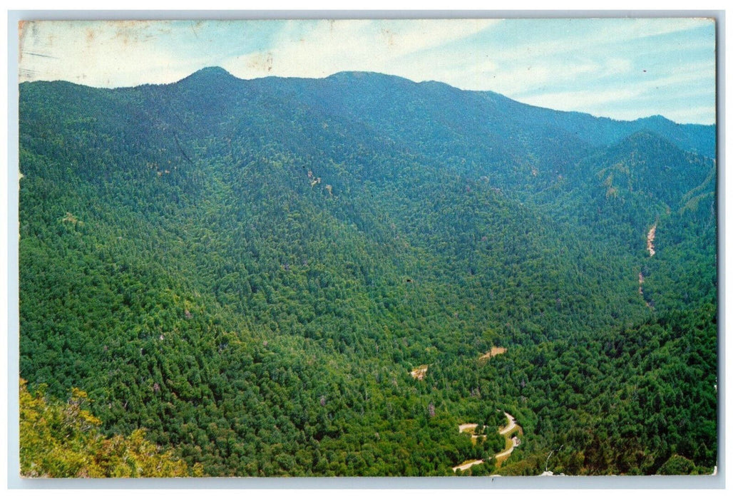 1963 The Loop and Mt. LeConte Great Smoky Mtn. National Park Postcard
